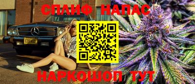 гидра Нарткала