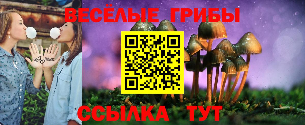 Псилоцибиновые грибы Psilocybe  Вход с VPN  Свободный  Галлюциногенные грибы ЛСД 